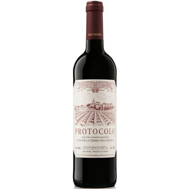 12 Bottle Case Dominio de Eguren Protocolo Tinto 2023 (Spain) w/ Shipping Included