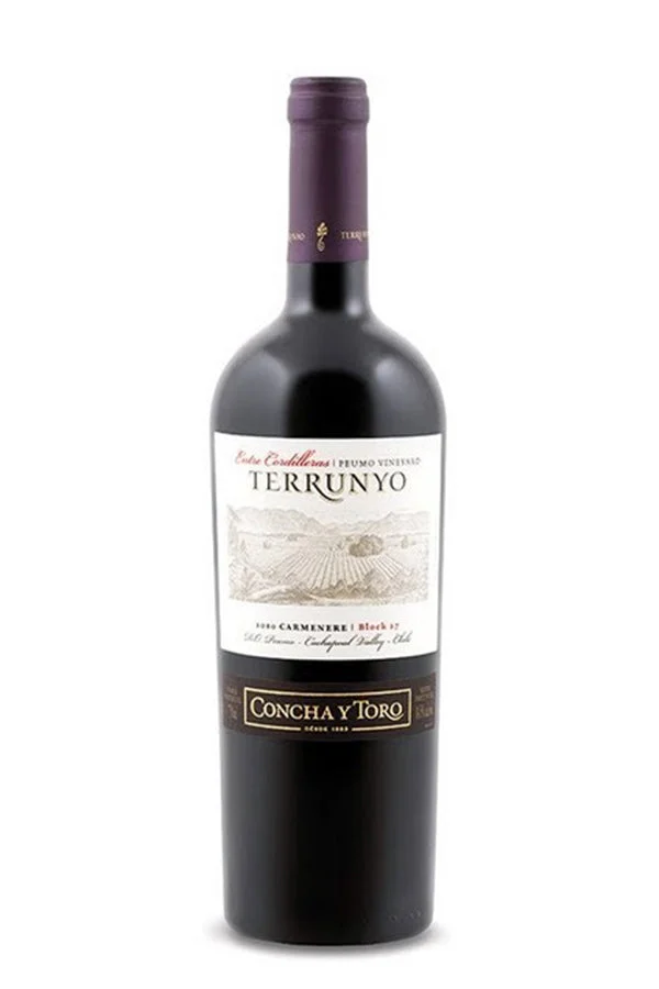 Concha y Toro Terrunyo Carmenere2016