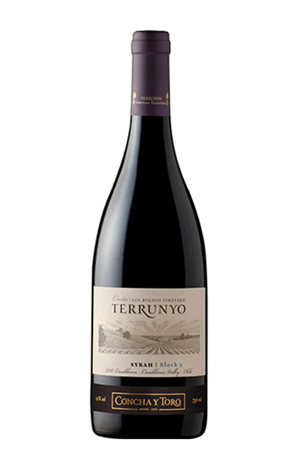 Concha y Toro Terrunyo Syrah 2007