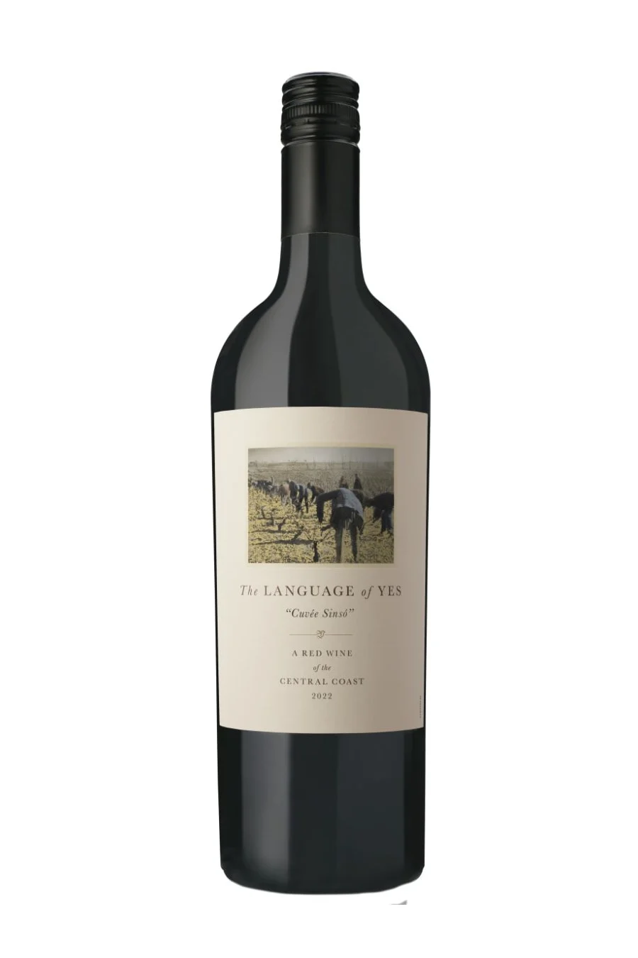 DAMAGED LABEL: Language Of Yes Cuvee Sinso 2022 (750 ml)