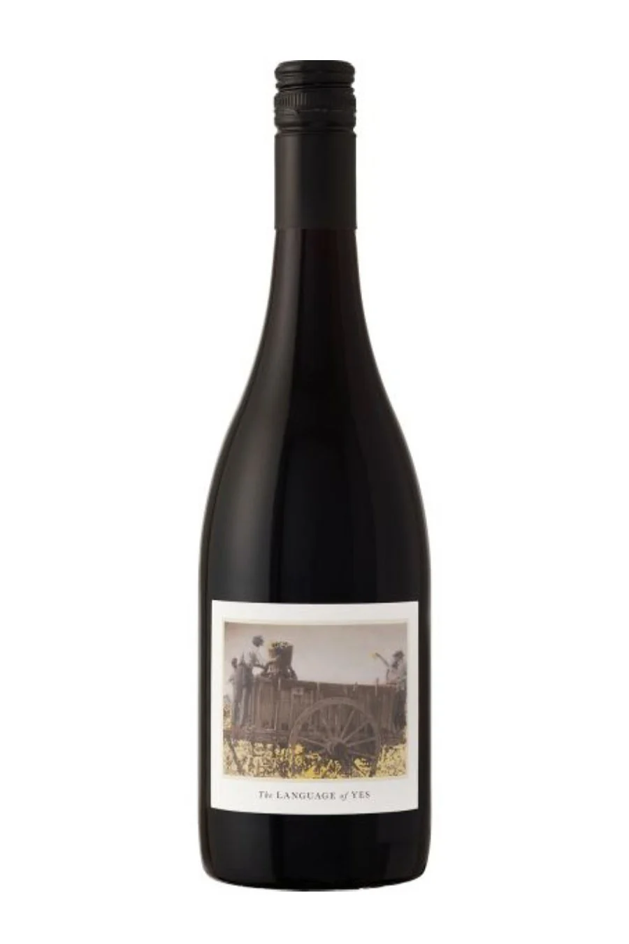 Language Of Yes Syrah Maria 2022 (750 ml)