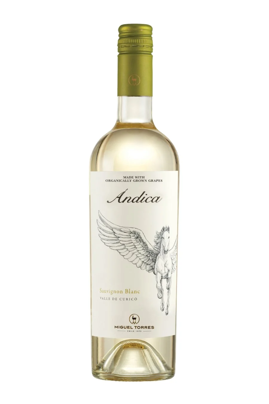 Miguel Torres Andica Sauvignon Blanc 2024 (750 ml)